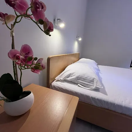 Flow House Novi Sad
